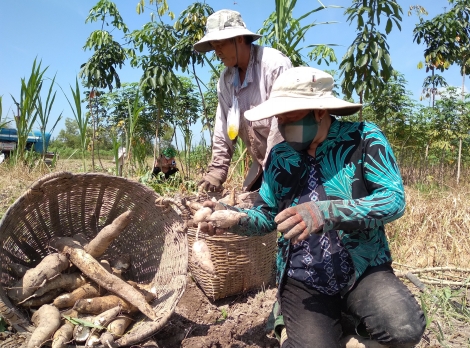 Khan hiếm nhân công lao động