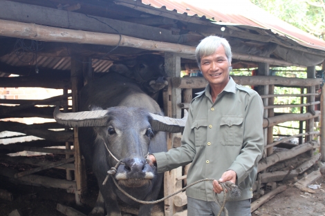 Vươn lên nhờ cần cù, chịu khó