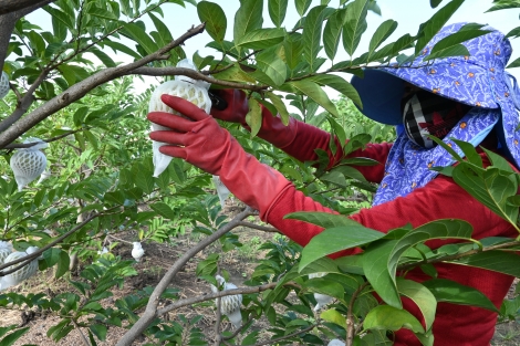 Đẩy mạnh phong trào thi đua nâng cao đời sống vật chất, tinh thần của người dân khu vực nông thôn