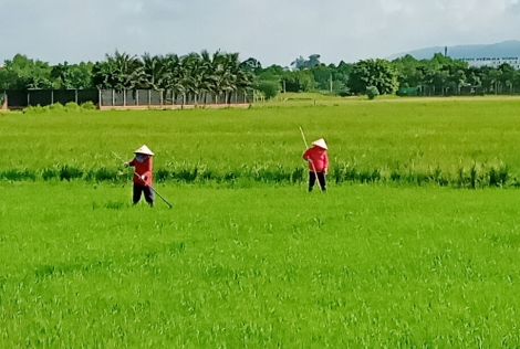 Thông tin kinh tế trong tỉnh