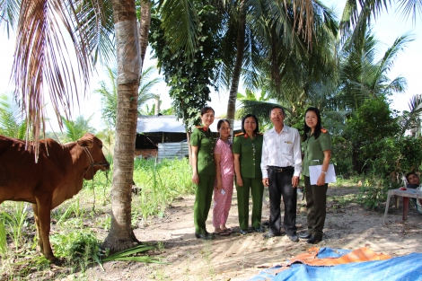 Hỗ trợ bò giống cho hội viên có hoàn cảnh khó khăn