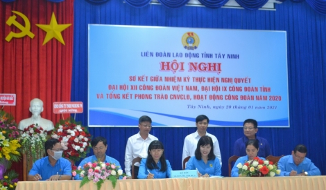 Sơ kết giữa nhiệm kỳ thực hiện Nghị quyết Đại hội XII Công đoàn Việt Nam, Đại hội IX Công đoàn tỉnh