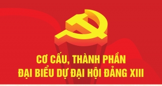 Cơ cấu, thành phần đại biểu dự Đại hội XIII