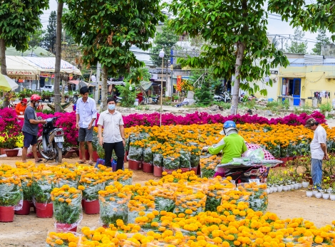 Tân Châu: Chi trên 7,7 tỷ đồng tổ chức Tết Nguyên đán Tân Sửu 2021