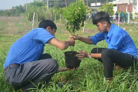 Thị đoàn Hòa Thành: Nhiều công trình, phần việc thanh niên hiệu quả thiết thực