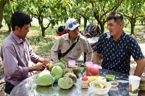 Phát triển du lịch trong tình trạng “bình thường mới”