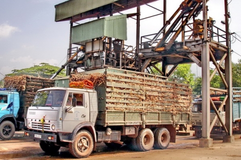 Thông tin kinh tế trong tỉnh