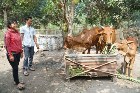 Kỳ 1 huyện Tân Châu: Nhiều mô hình giúp đỡ hộ nghèo