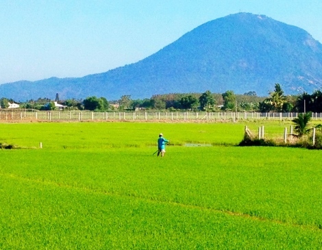 Thông tin kinh tế trong tỉnh