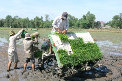 Gỡ khó để hợp tác xã phát triển bền vững