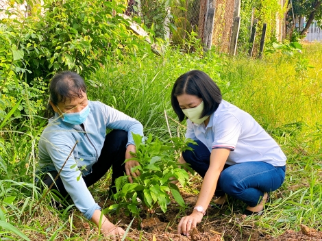 Hội Liên hiệp Phụ nữ TP. Tây Ninh: Thực hiện tuyến đường hoa