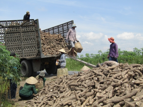 Tây Ninh: Nhiều ngân hàng đồng loạt giảm lãi suất cho vay từ tháng 7.2021