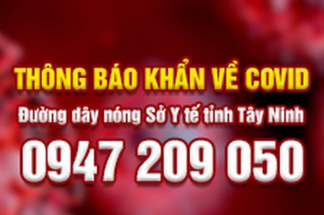 Sở Y tế: Rà soát người đến các khu vực mà bệnh nhân dương tính với SARS-CoV từng di chuyển, tiếp xúc