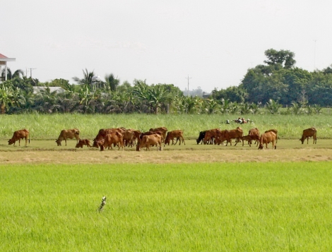 Thông tin kinh tế trong tỉnh