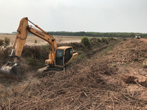 Phòng, chống ngập úng cho mía trong mùa mưa