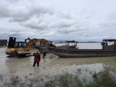 Người dân tranh thủ thu hoạch củ mì