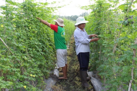 Kỳ cuối: tạo điều kiện thuận lợi cho sản xuất nông nghiệp phát triển