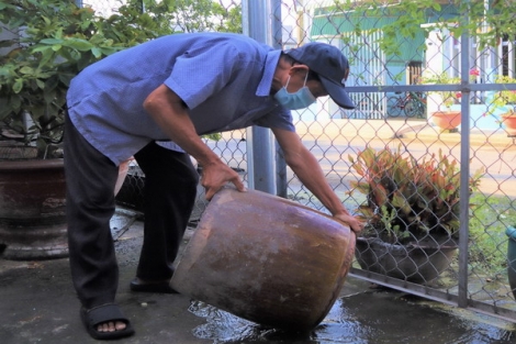 Tăng cường phòng, chống bệnh sốt xuất huyết trong mùa dịch Covid-19