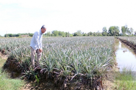 Tây Ninh: Nông dân Việt Nam xuất sắc 2021 là người biến đất hoang vùng biên cương thành cơ ngơi bạc tỷ