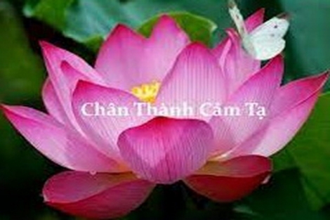 Cảm tạ