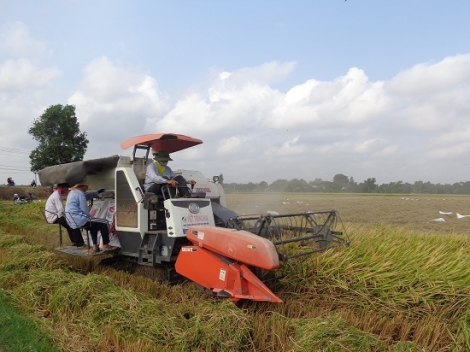 Chuyển mục đích sử dụng hơn 25ha đất trồng lúa để thực hiện 8 dự án, công trình