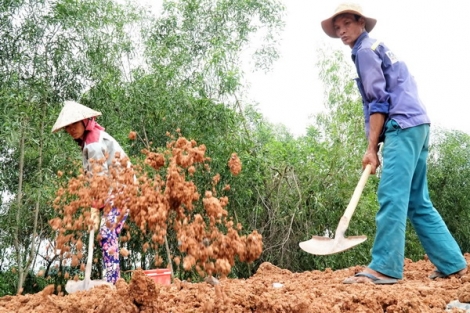 Khơi thông nguồn lực xây dựng nông thôn mới