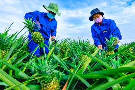 Tập trung thực hiện linh hoạt, hiệu quả “mục tiêu kép”