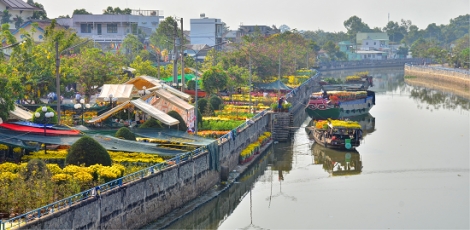 Tập trung phòng, chống dịch, tạm dừng lễ hội, không bắn pháo hoa