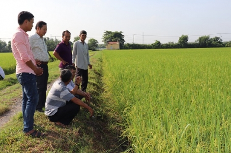 UBND tỉnh: Phát động phong trào thi đua “Nâng cao hiệu quả hoạt động của kinh tế tập thể” giai đoạn 2021 - 2025