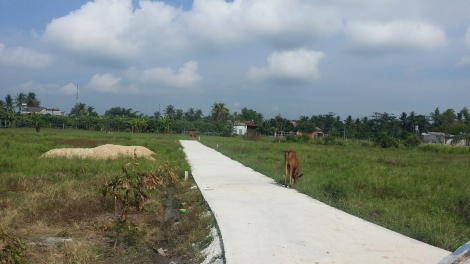 Mua đất đừng nên vội vàng