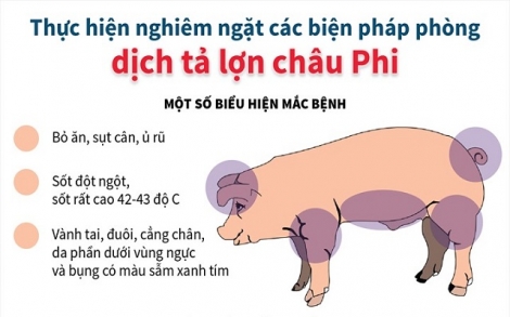 Chủ động phòng, chống dịch bệnh nguy hiểm trên gia súc, gia cầm