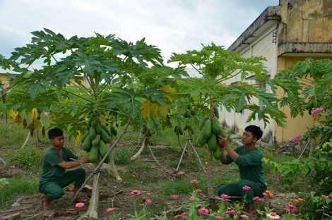 Nhiều năm đạt danh hiệu “Đơn vị quyết thắng”