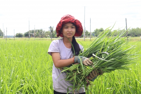 Ước mơ làm cô giáo của cô học trò khiếm thị