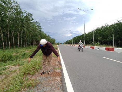 Đường ĐT.789B: Thiếu cọc tiêu cảnh báo nguy hiểm