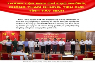 Thành lập Ban Chỉ đạo phòng, chống tham nhũng, tiêu cực tỉnh Tây Ninh