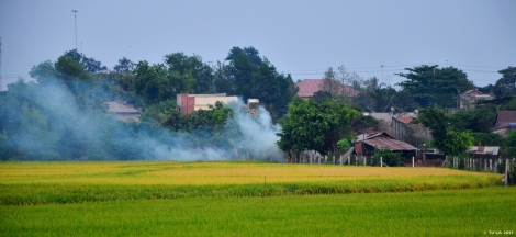 Những ngôi nhà không bao giờ cũ...