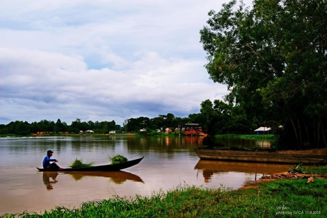 Mùa rau hẹ