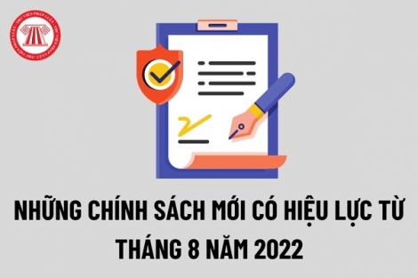 Chính sách mới có hiệu lực từ tháng 8.2022