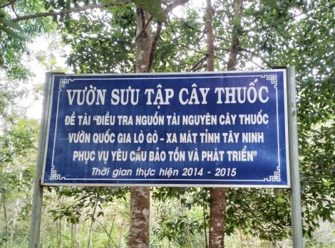 Có gần 500 loài thuốc