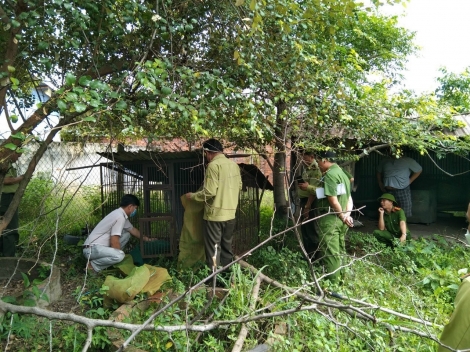 Ngăn chặn tình trạng mua bán, vận chuyển, tàng trữ, chế biến động vật rừng trái pháp luật