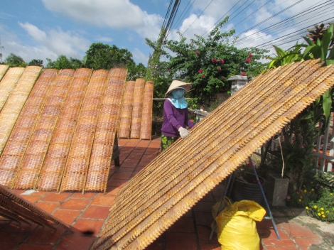 Nghề làm bánh tráng ở ấp Cây Xoài