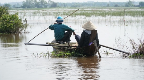 Đặc sản mùa nước nổi