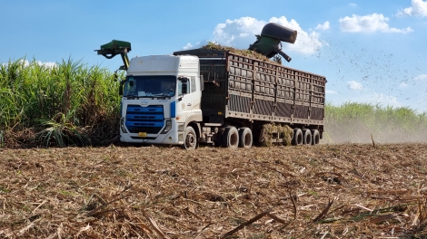 Hình thành các chuỗi liên kết sản xuất - tiêu thụ trên 9 sản phẩm chủ lực của tỉnh