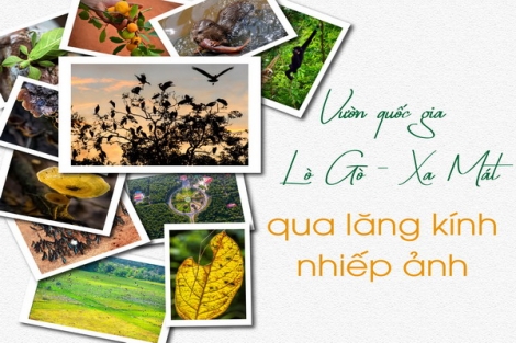 Vườn quốc gia Lò Gò - Xa Mát qua lăng kính nhiếp ảnh