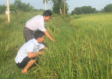 Nâng cao năng lực cho đội ngũ cán bộ xây dựng nông thôn mới