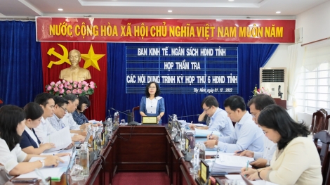 Thẩm tra các văn bản thuộc lĩnh vực kinh tế - ngân sách trình kỳ họp thứ 6 HĐND tỉnh khoá X