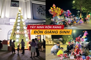 Tây Ninh rộn ràng đón Giáng sinh