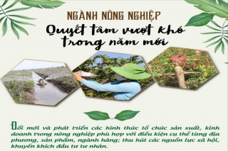 Ngành Nông nghiệp: Quyết tâm vượt khó trong năm mới