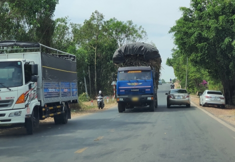 Châu Thành: Bất an vì xe chở mía quá khổ, quá tải