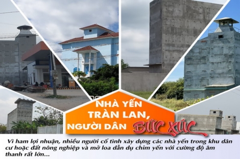 Nhà yến tràn lan, người dân bức xúc